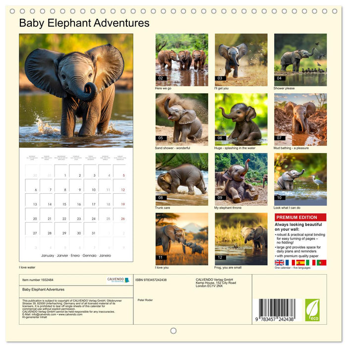 Baby Elephant Adventures (CALVENDO Monthly Calendar 2025)