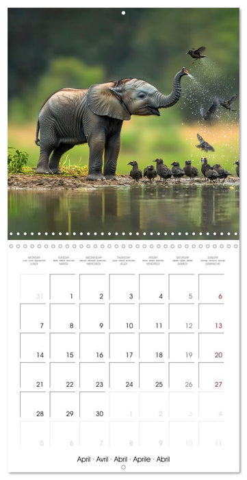 Baby Elephant Adventures (CALVENDO Monthly Calendar 2025)