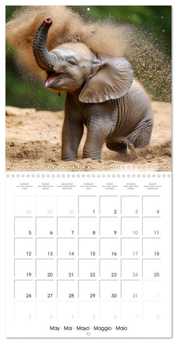 Baby Elephant Adventures (CALVENDO Monthly Calendar 2025)