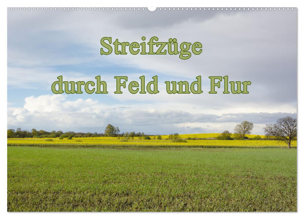 Streifzüge durch Feld und Flur (CALVENDO Wandkalender 2025)