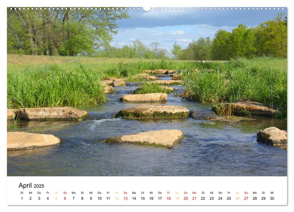 Streifzüge durch Feld und Flur (CALVENDO Wandkalender 2025)