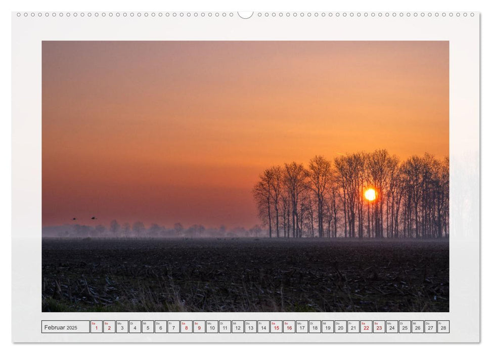 Naturpark Dümmer (CALVENDO Wandkalender 2025)