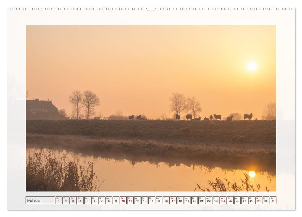 Naturpark Dümmer (CALVENDO Wandkalender 2025)