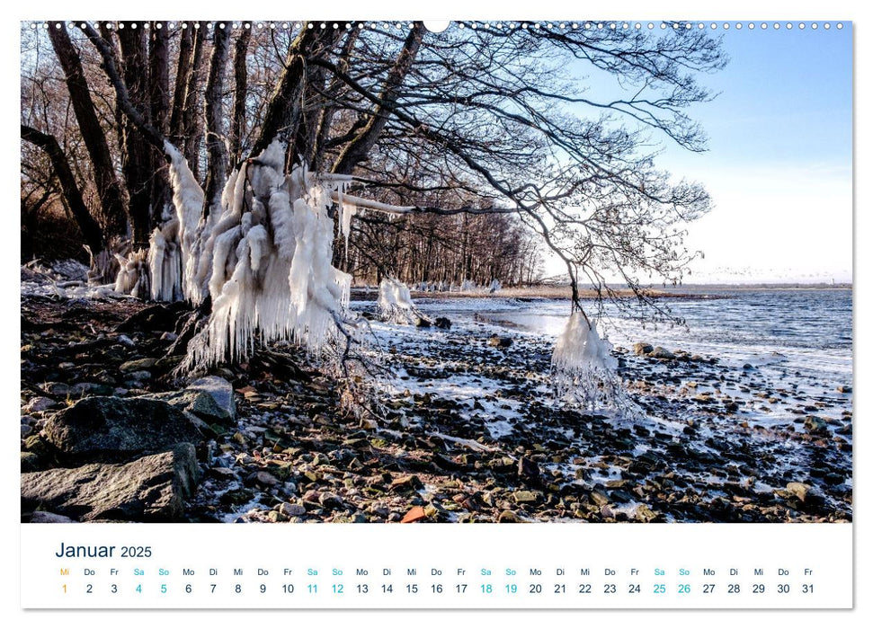 Die Schlei - Segelrevier und Naherholungsgebiet (CALVENDO Wandkalender 2025)