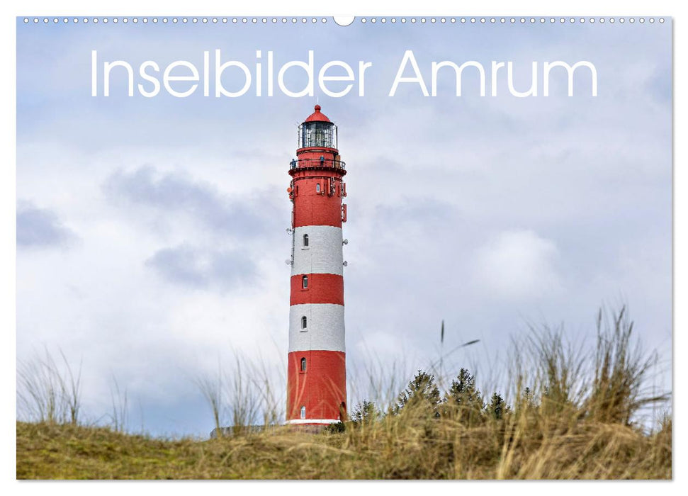 Inselbilder Amrum (CALVENDO Wandkalender 2025)