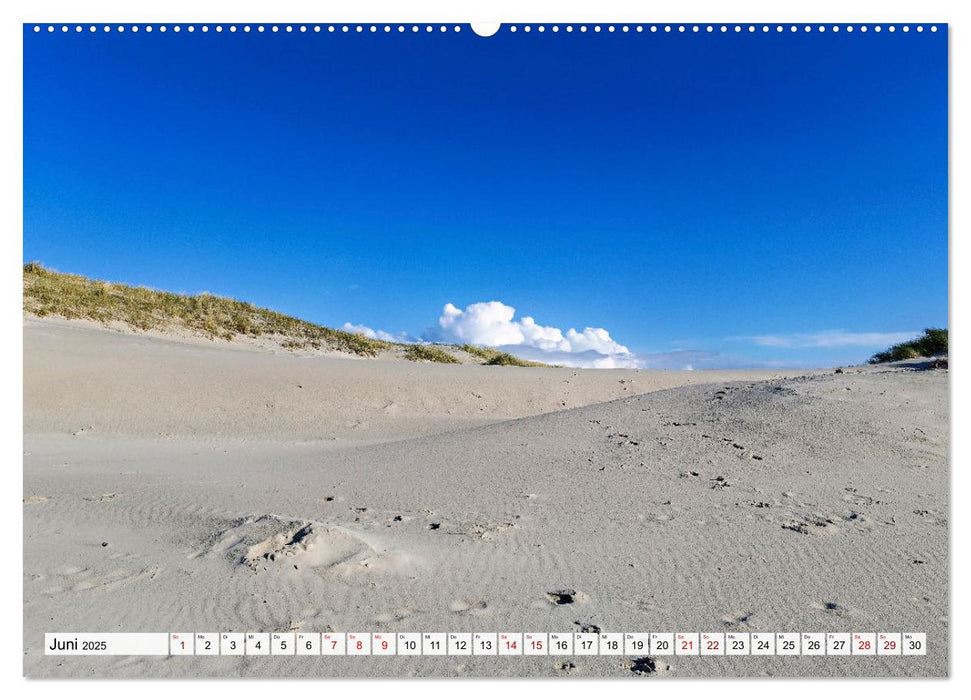 Inselbilder Amrum (CALVENDO Wandkalender 2025)