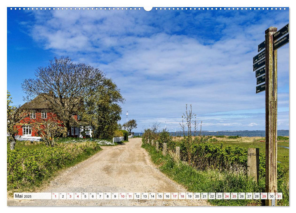 Inselbilder Amrum (CALVENDO Premium Wandkalender 2025)