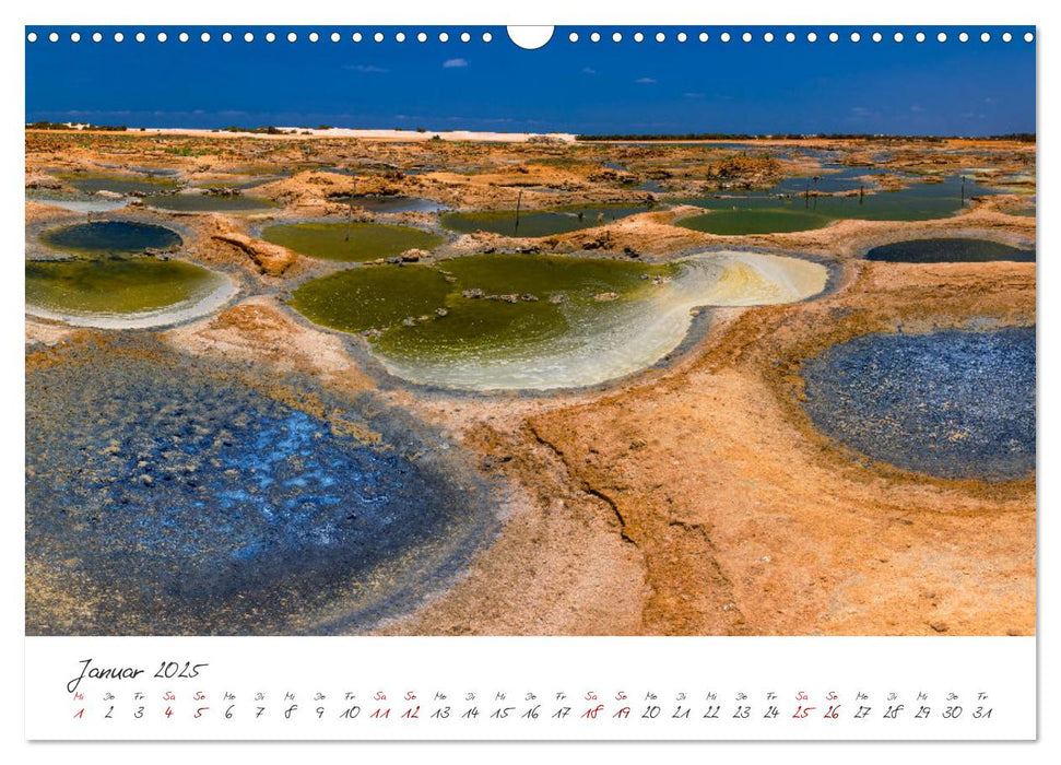 Socotra - Zauberhafte Insel (CALVENDO Wandkalender 2025)