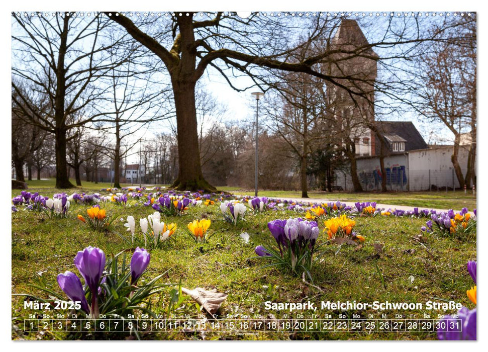 356 Tage Bremerhaven - Bilder des Jahres 2025 (CALVENDO Wandkalender 2025)