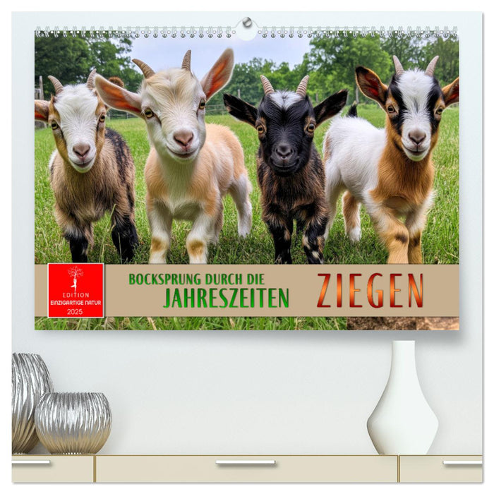 Ziegen - Bocksprung durch das Jahr (CALVENDO Premium Wandkalender 2025)