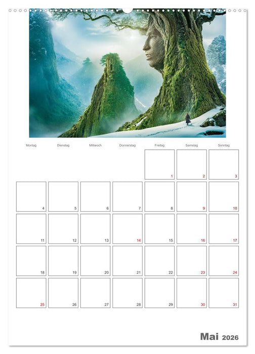 Der Zauberwald Eine geheimnisvolle Reise (CALVENDO Premium Wandkalender 2026)