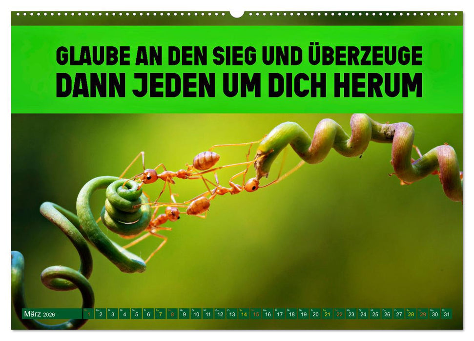 Gemeinsam sind wir stark - motivierende Sprüche über Teams (CALVENDO Wandkalender 2026)