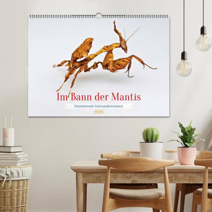 Im Bann der Mantis (CALVENDO Wandkalender 2026)