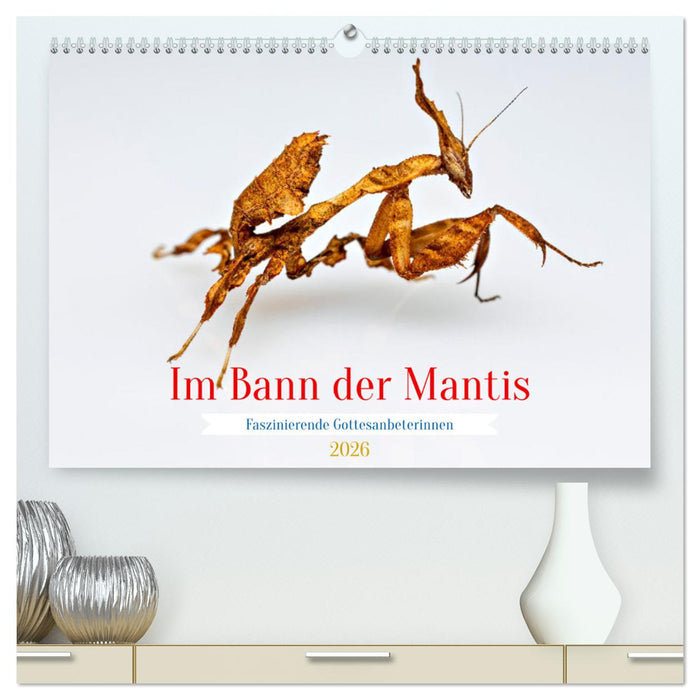Im Bann der Mantis (CALVENDO Premium Wandkalender 2026)