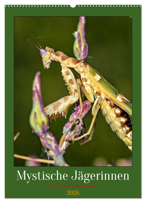 Mystische Jägerinnen (CALVENDO Wandkalender 2026)