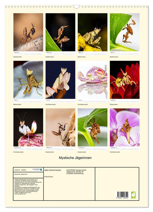 Mystische Jägerinnen (CALVENDO Wandkalender 2026)
