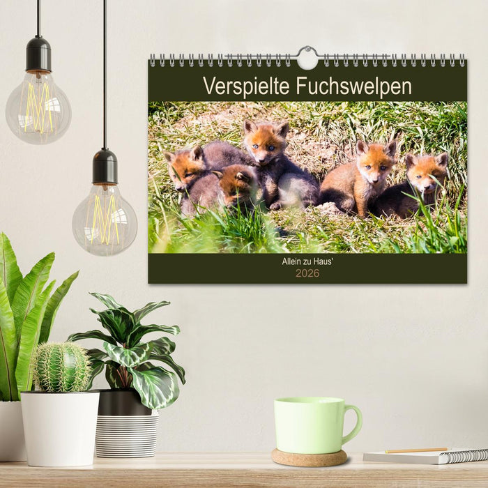 Verspielte Fuchswelpen - Allein zu Haus' (CALVENDO Wandkalender 2026)