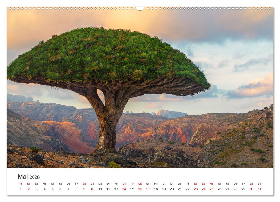 Leidenschaft Landschaften (CALVENDO Wandkalender 2026)