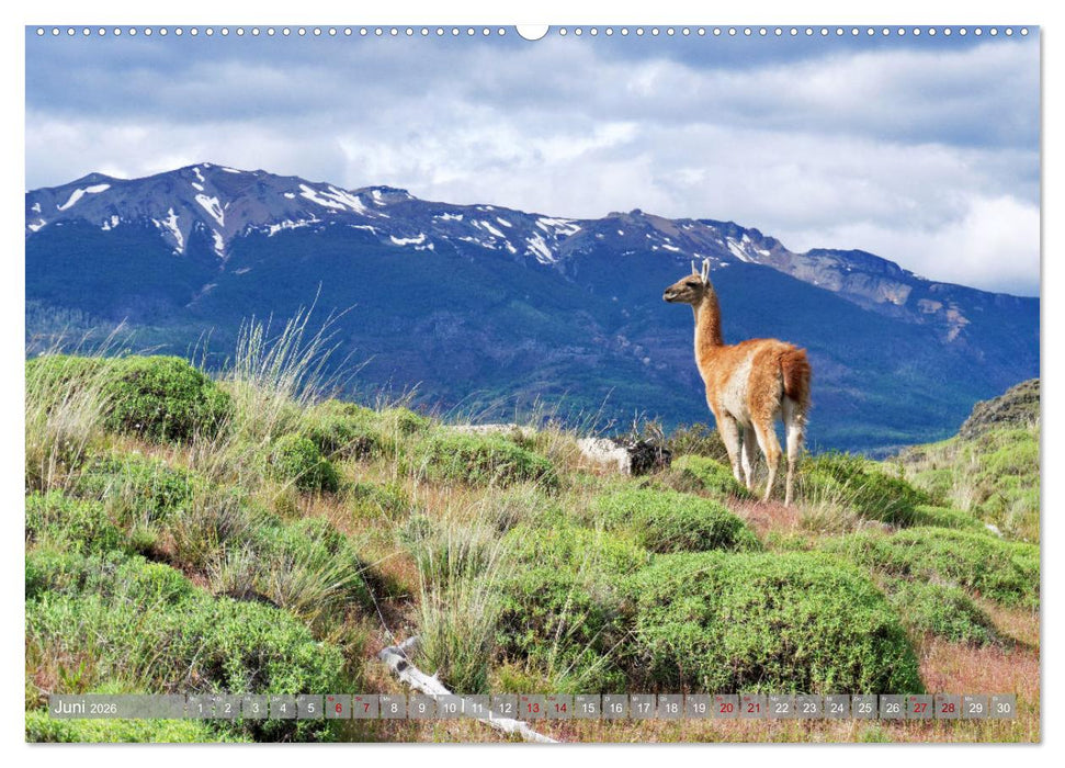 Bekanntes und Unbekanntes Patagonien (CALVENDO Wandkalender 2026)