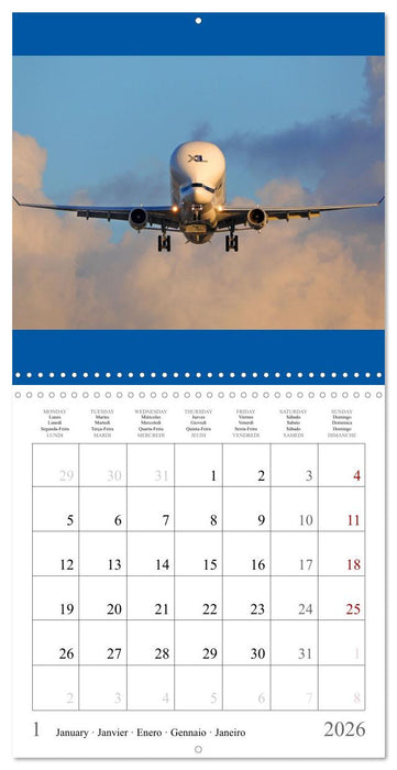 Airplanes in the blue sky (CALVENDO Monthly Calendar 2026)