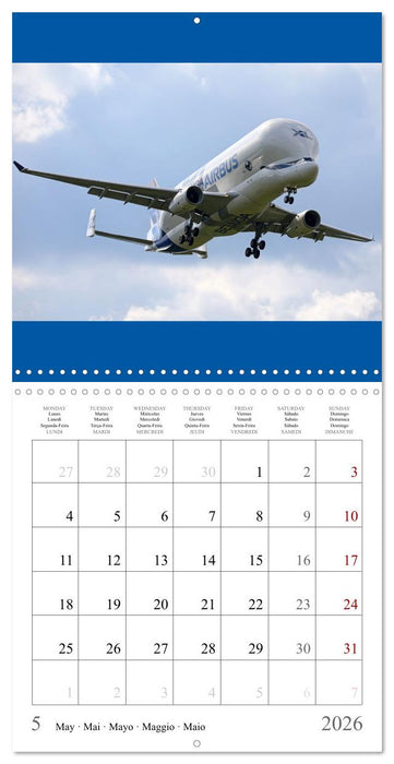 Airplanes in the blue sky (CALVENDO Monthly Calendar 2026)