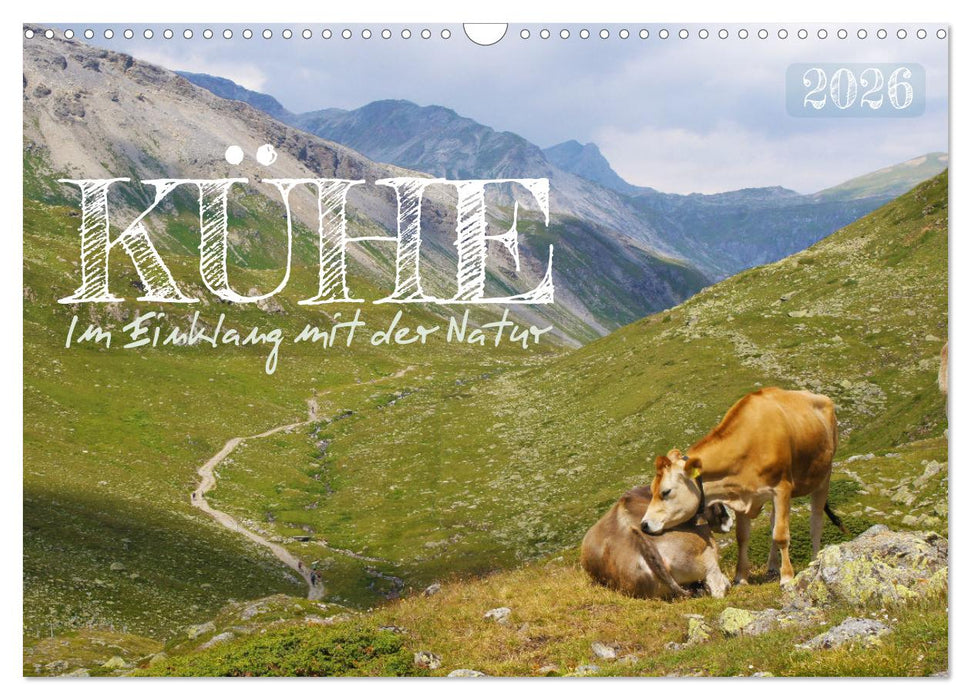 Kühe im Einklang mit der Natur (CALVENDO Wandkalender 2026)