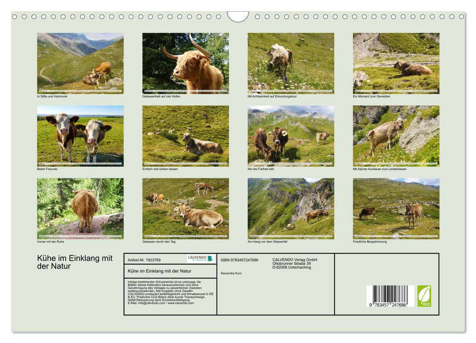 Kühe im Einklang mit der Natur (CALVENDO Wandkalender 2026)