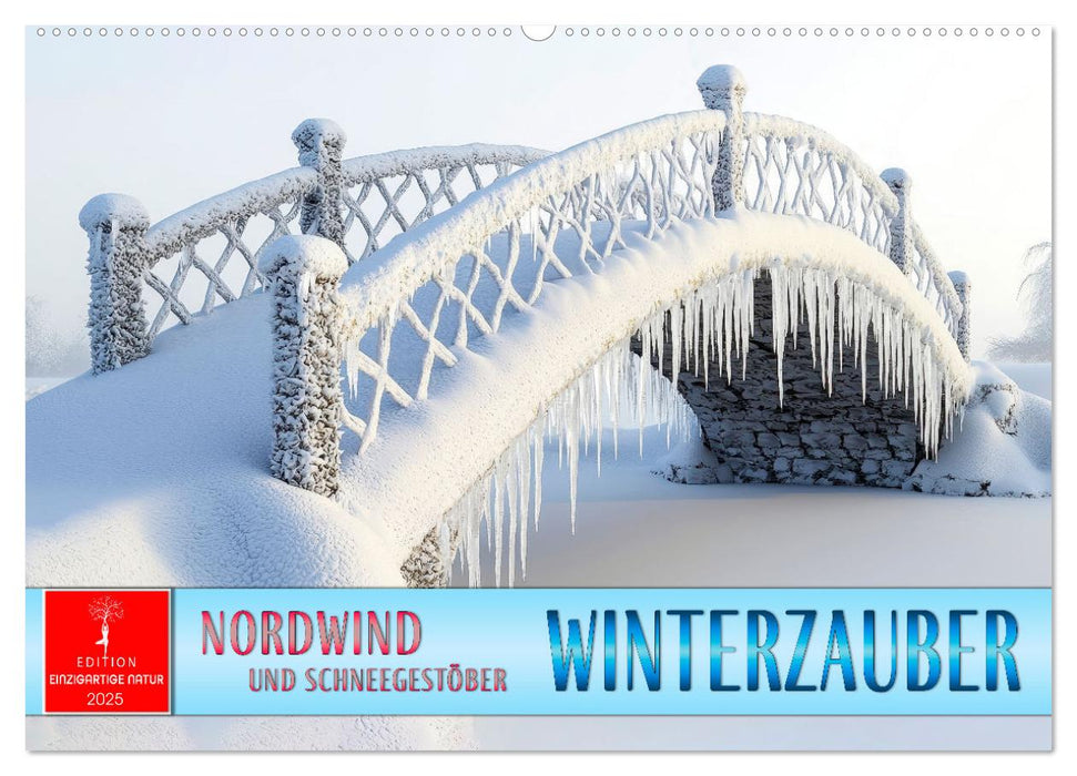 Winterzauber - Nordwind und Schneegestöber (CALVENDO Wandkalender 2026)