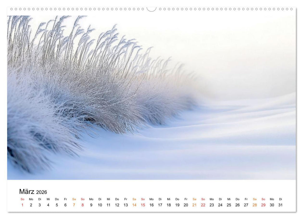 Winterzauber - Nordwind und Schneegestöber (CALVENDO Wandkalender 2026)