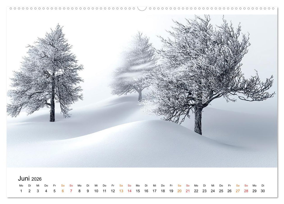 Winterzauber - Nordwind und Schneegestöber (CALVENDO Wandkalender 2026)