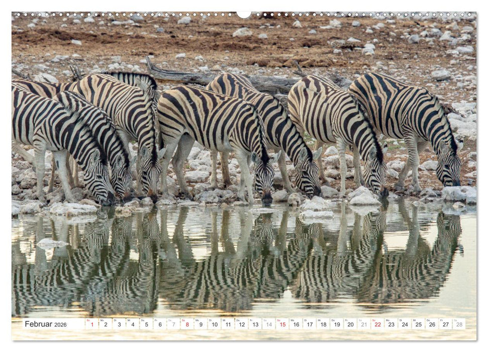 Afrika - Namibia (CALVENDO Wandkalender 2026)