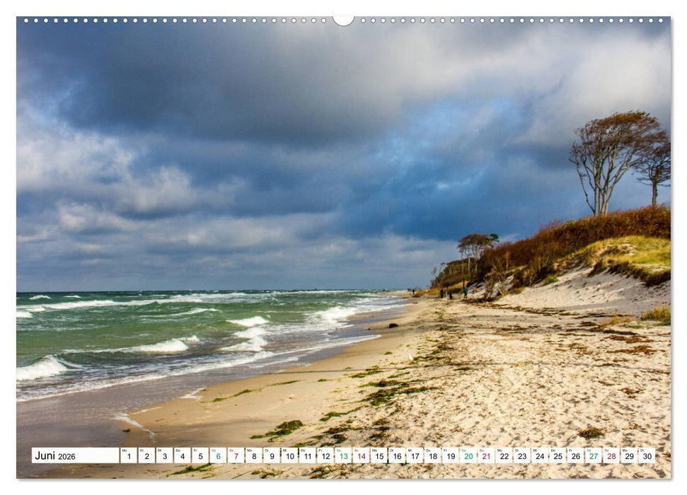 Darßer Weststrand - Fischland Darß Zingst (CALVENDO Premium Wandkalender 2026)