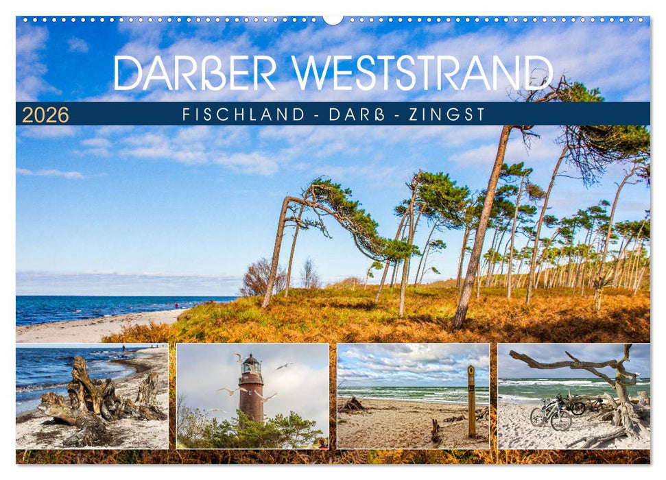 Darßer Weststrand - Fischland Darß Zingst (CALVENDO Wandkalender 2026)