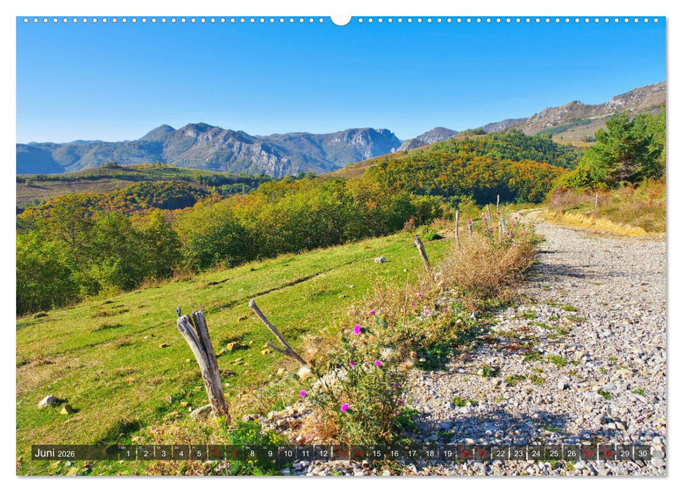 TransApuseni - Schönste Panoramastraße in Siebenbürgen (CALVENDO Wandkalender 2026)