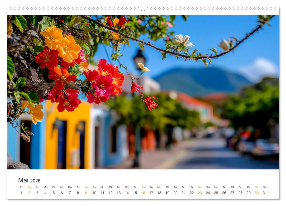 Curaçao - paradiesische Insel in der Karibik (CALVENDO Wandkalender 2026)