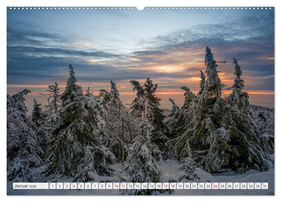 Ohh, Du wunderschöner Harz! (CALVENDO Premium Wandkalender 2026)