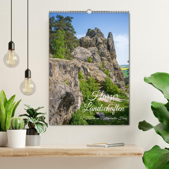 Harzer Landschaften - 12 Monate im Naturparadies Harz (CALVENDO Wandkalender 2026)