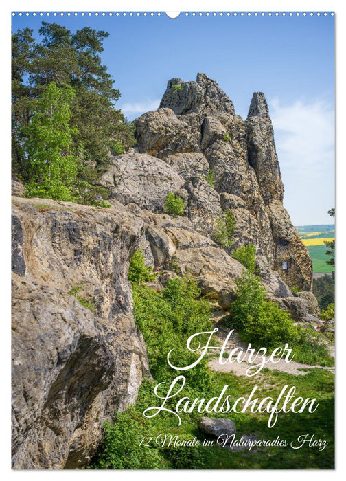 Harzer Landschaften - 12 Monate im Naturparadies Harz (CALVENDO Wandkalender 2026)