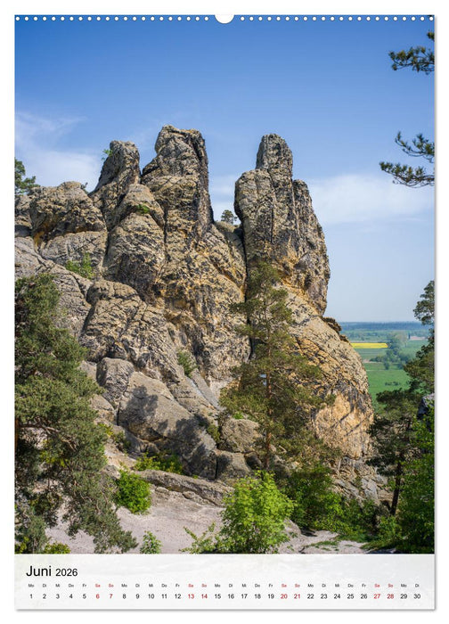 Harzer Landschaften - 12 Monate im Naturparadies Harz (CALVENDO Wandkalender 2026)