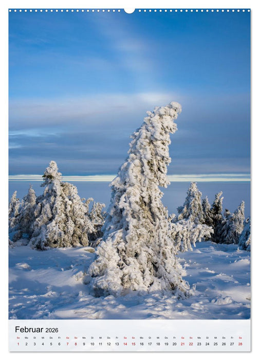 Harzer Landschaften - 12 Monate im Naturparadies Harz (CALVENDO Premium Wandkalender 2026)