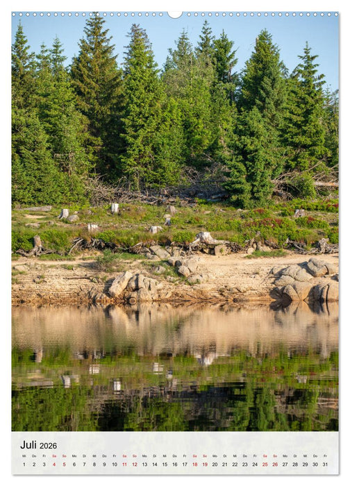 Harzer Landschaften - 12 Monate im Naturparadies Harz (CALVENDO Premium Wandkalender 2026)