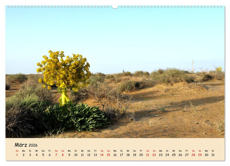 Usbekistan, Perlen der Seidenstraße (CALVENDO Premium Wandkalender 2026)