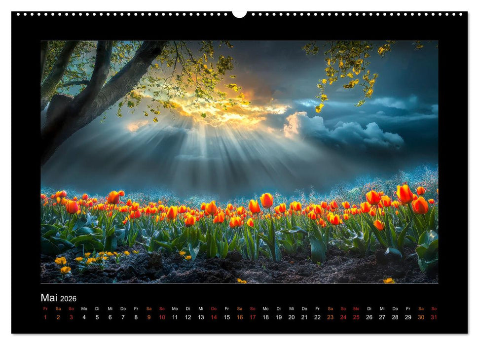 Im Wechselspiel der Jahreszeiten (CALVENDO Premium Wandkalender 2026)