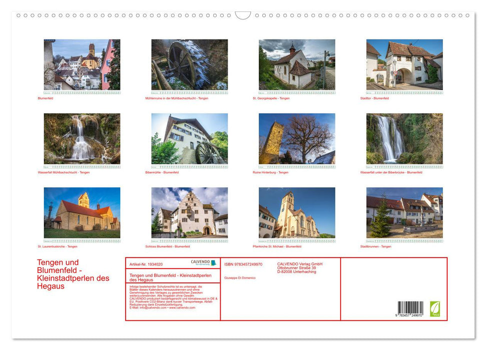 Tengen und Blumenfeld - Kleinstadtperlen des Hegaus (CALVENDO Wandkalender 2026)