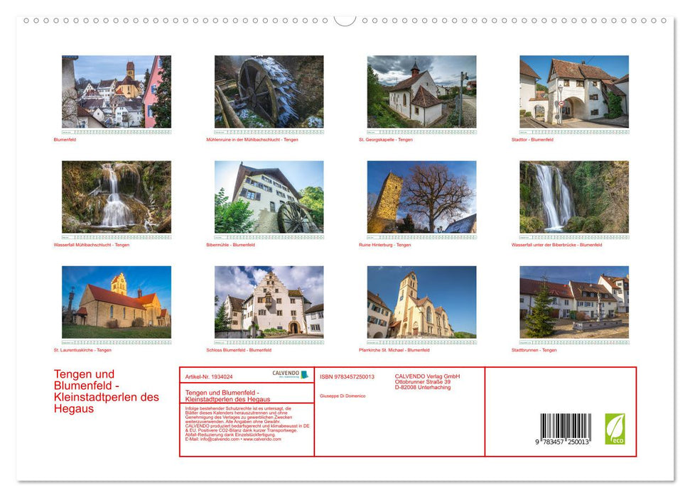 Tengen und Blumenfeld - Kleinstadtperlen des Hegaus (CALVENDO Premium Wandkalender 2026)