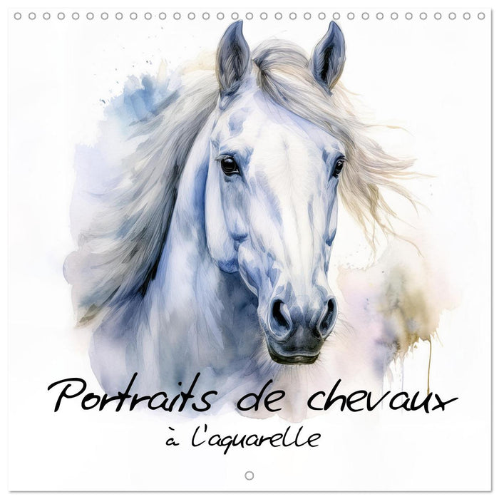 Portraits de chevaux à l'aquarelle (CALVENDO Calendrier mensuel 2026)