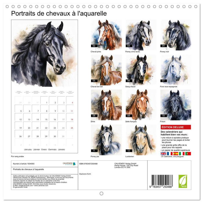 Portraits de chevaux à l'aquarelle (CALVENDO Calendrier mensuel 2026)