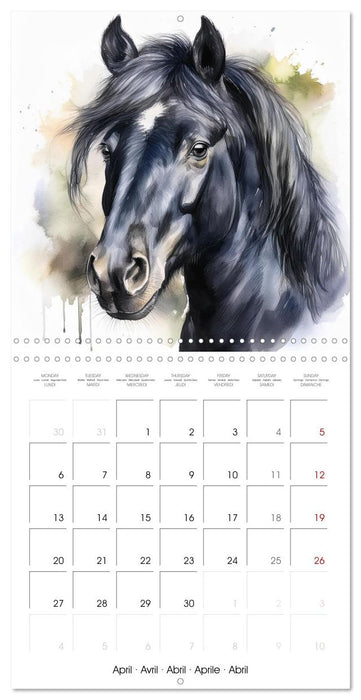 Portraits de chevaux à l'aquarelle (CALVENDO Calendrier mensuel 2026)