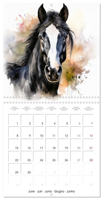 Portraits de chevaux à l'aquarelle (CALVENDO Calendrier mensuel 2026)