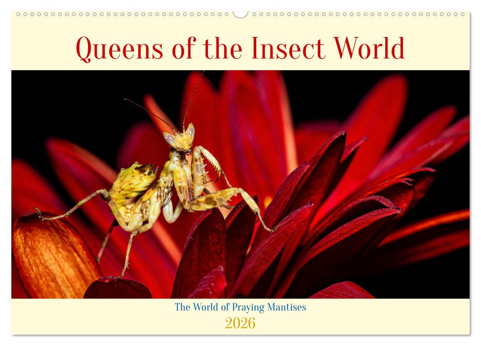 Queens of the Insect World (CALVENDO Monthly Calendar 2026)